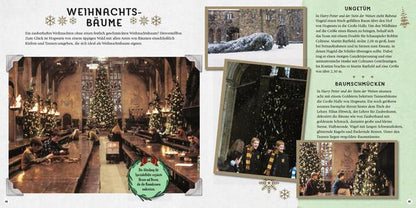 Harry Potter - Weihnachten in der Zauberwelt - Das Handbuch zu den Filmen