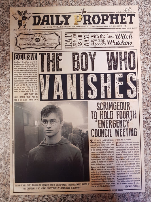 Harry Potter - Poster - The Boy Who Vanishes (42 cm x 30 cm)