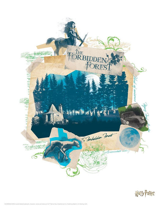 Harry Potter - Kunstdruck - Verbotener Wald (36 x 28 cm)